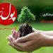 «درخت» آموزگار راه و رسم انسانیت